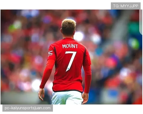 曼联近期表现波动，回暖迹象背后稳定性面临考验对赛季走势带来影响